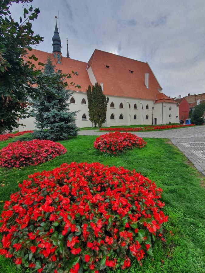 Via Transilvanica Sighisoara Hotel Екстериор снимка